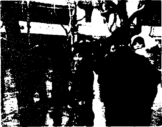 On a Bĕijīng street (courtesy of Pat Fox)