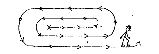 The indeterminate verbs of motion