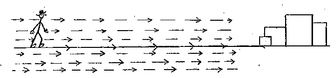 The indeterminate verbs of motion