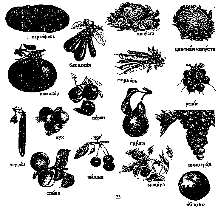 Упражнение №18.