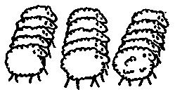 Упражне́ние №13.