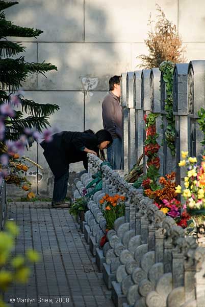 Tomb sweeping. Babaoshan Revolutionary Cemetery