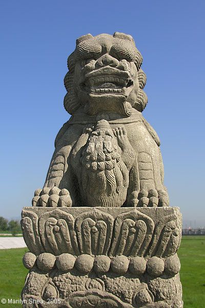 Marco Polo Bridge Lion 卢沟桥的狮子