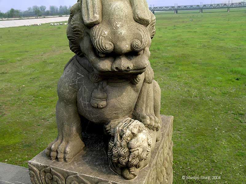 Marco Polo Bridge Lion 卢沟桥的狮子