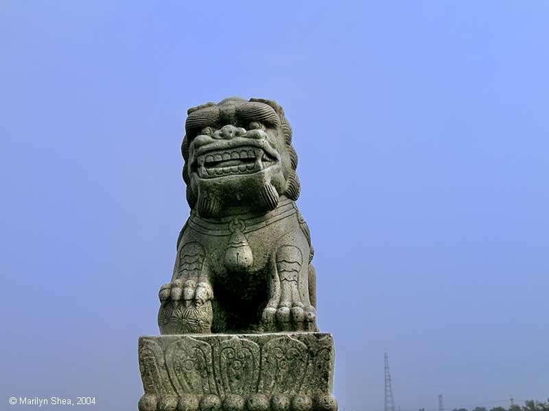 Marco Polo Bridge Lion 卢沟桥的狮子