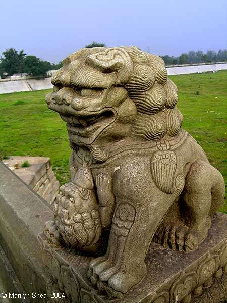 Marco Polo Bridge Lion 卢沟桥的狮子