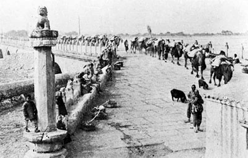 Lion atop a pillar, Marco Polo Bridge