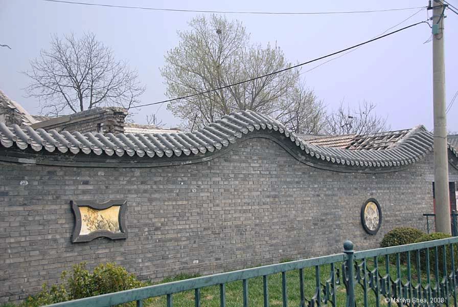 dragon tail wall