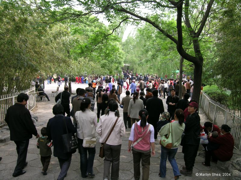 Beijing Zoo crowd