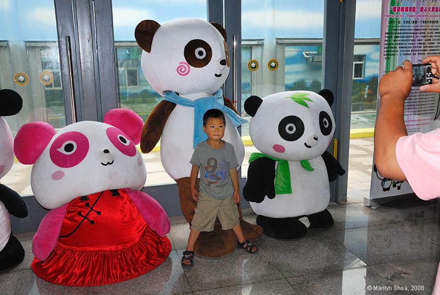 Synthethica plasticalosa, 合成纤维塑料