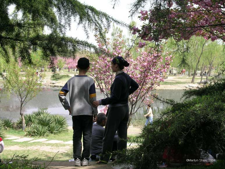 Mother and son looking at blossoms