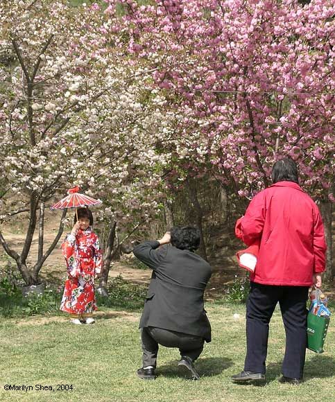 Little girl in red kimono and parosol