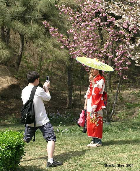 Guy taking a picture of his girl wearing a kimono and parosol