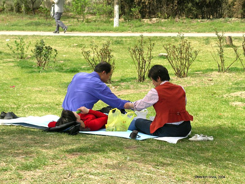 Couple having picnic on the grass