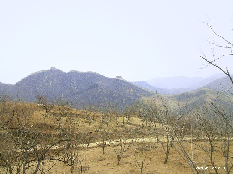 The Great Wall overlooking fields with fruit trees.
