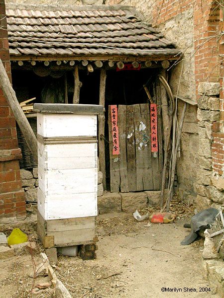 Side building with two stalls