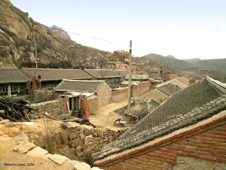 An overview of the village from above