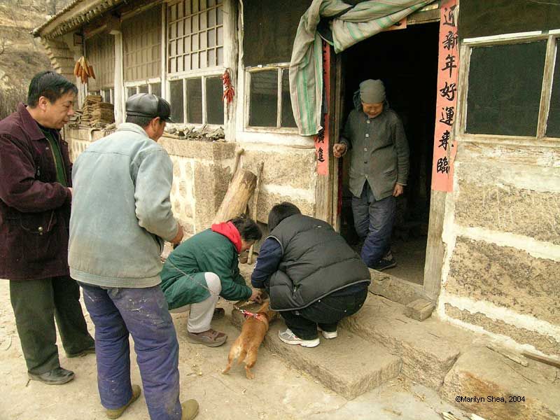 People gathered in front of the house