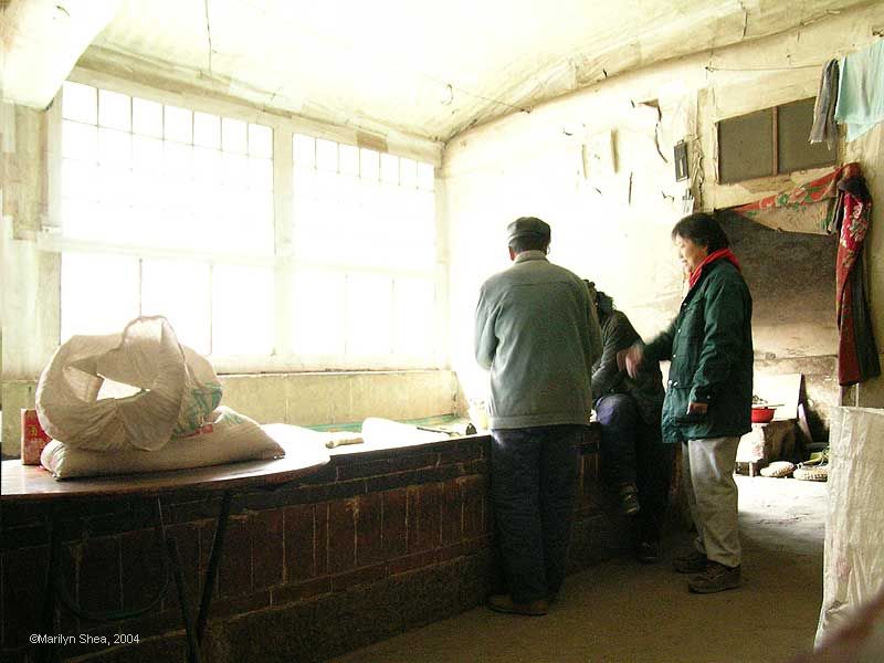 The Main Room with large windows and lots of light