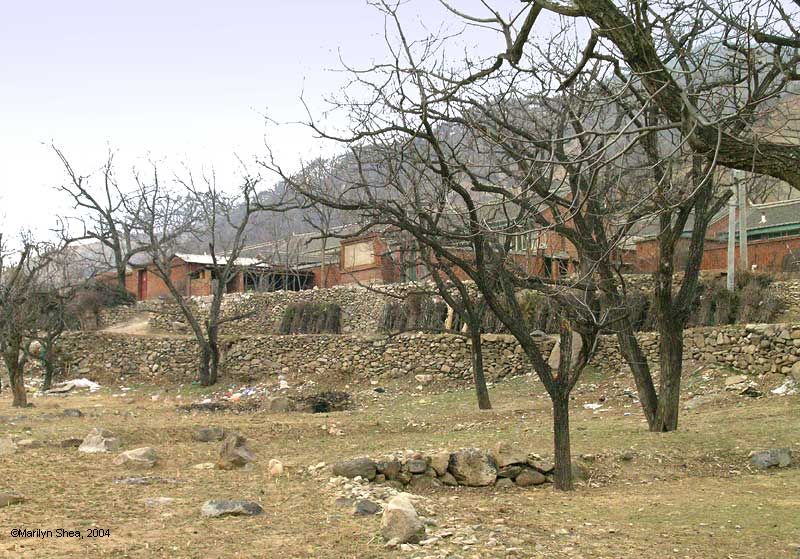 Brick village with bundles of twigs neatly lined up against the outside wall