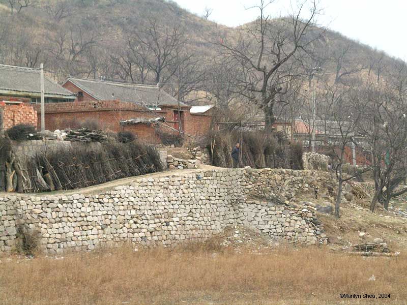 Brick village with bundles of twigs neatly lined up against the outside wall