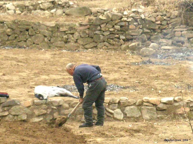 Man hoes in a plot of land surrounded by low stone walls