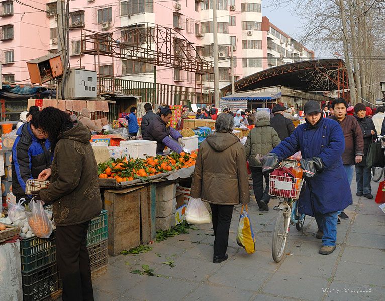 Oranges at the market