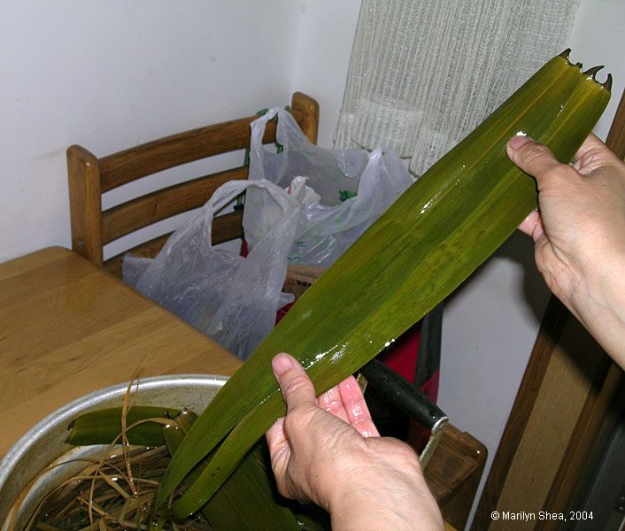 Zongzi 粽子 are wrapped in leaves