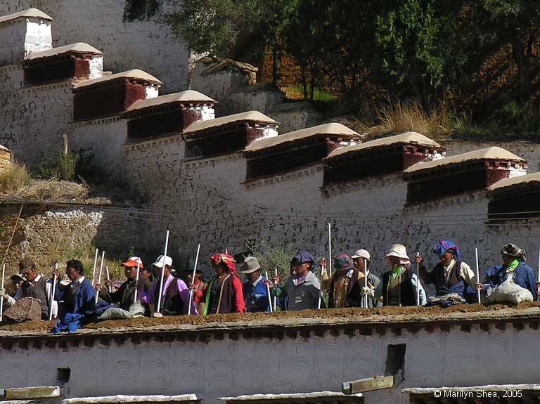 Terracotta Warriors 秦俑