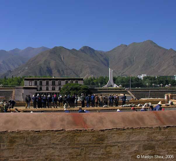 Terracotta Warriors 秦俑