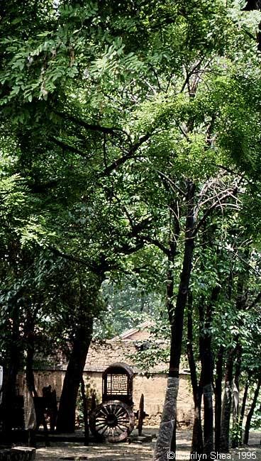 Chinese carriage of the type used in the 18th century. Small Wild Goose Pagoda 小雁塔