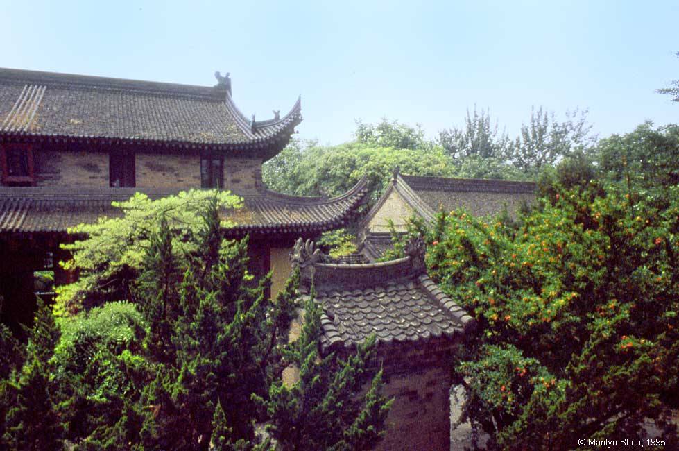 Small Wild Goose Pagoda 小雁塔