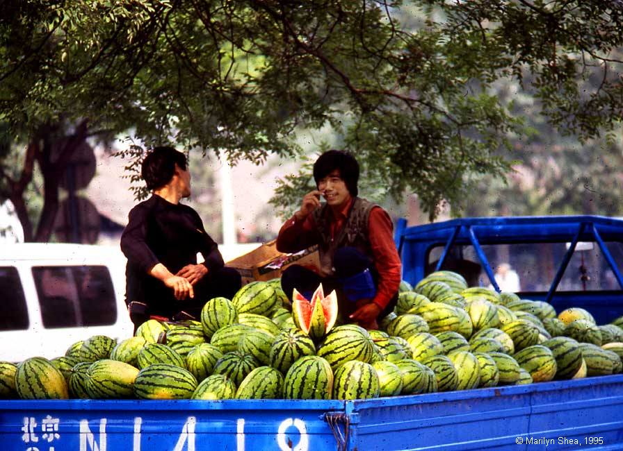 Xi'an Market 西安市场