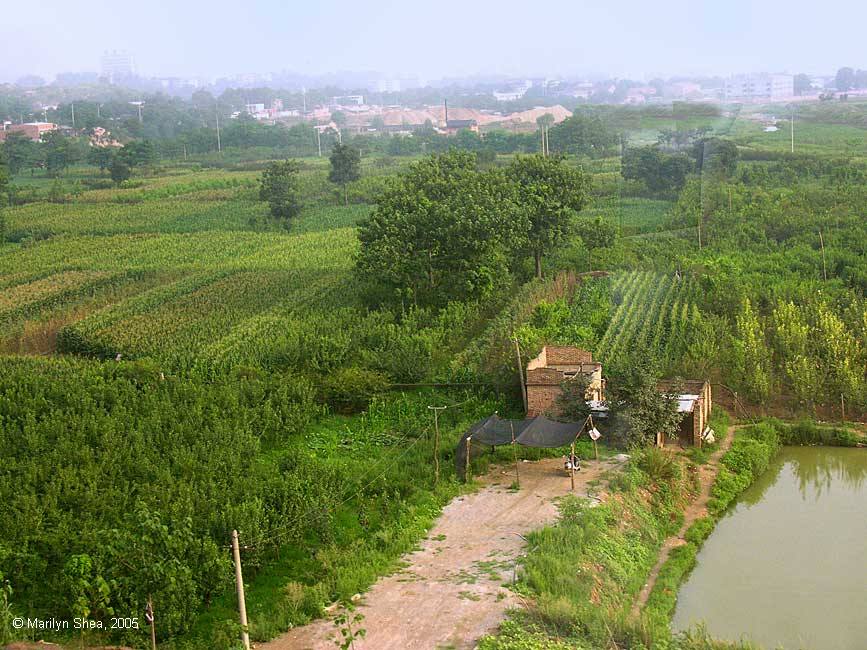 pond in the middle of green fields