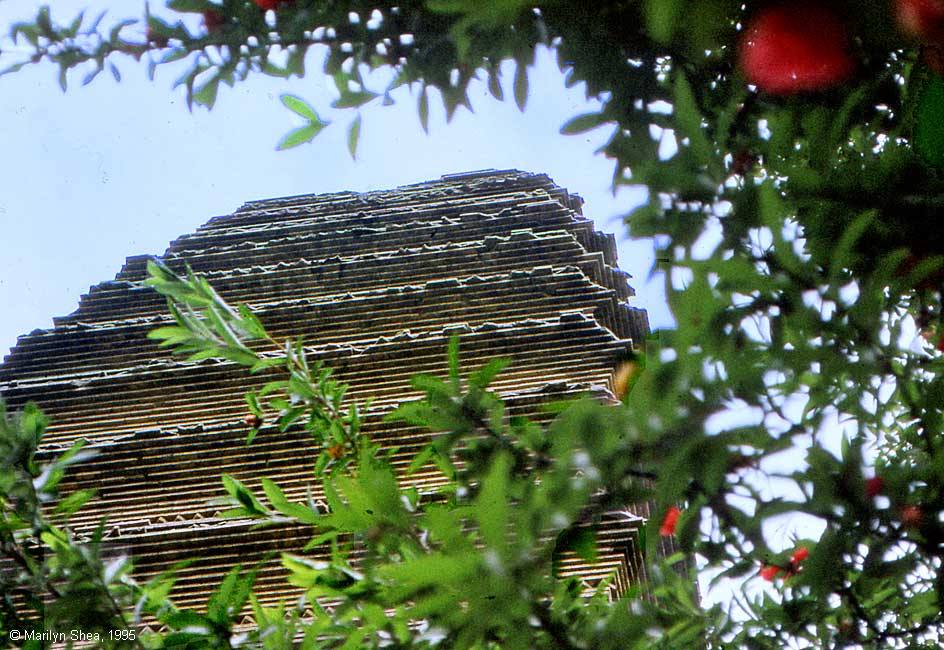 Small Wild Goose Pagoda 小雁塔