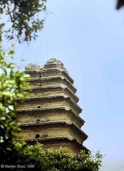 Small Wild Goose Pagoda 小雁塔