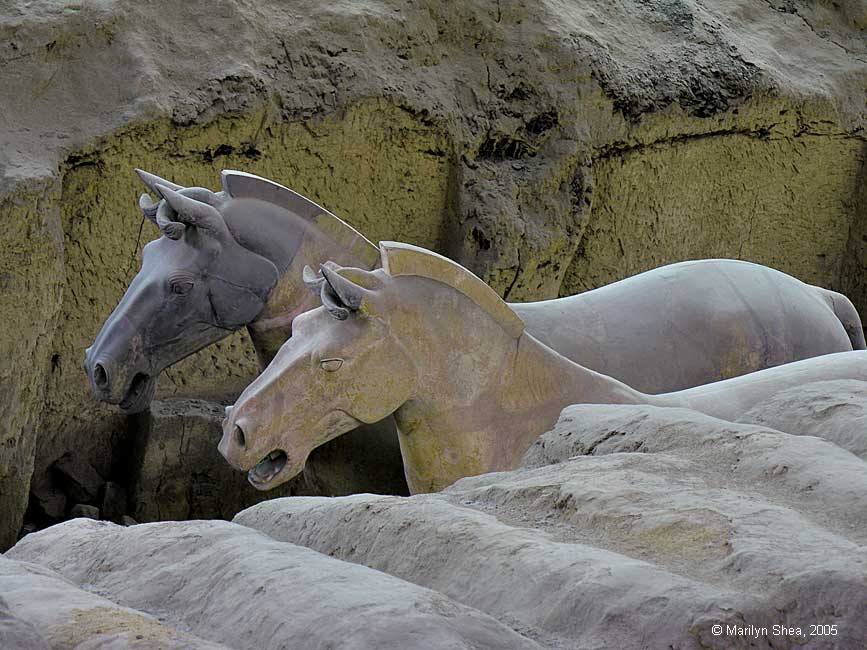 Two horse, one with a freshly repaired head Terracotta Warriors 秦俑