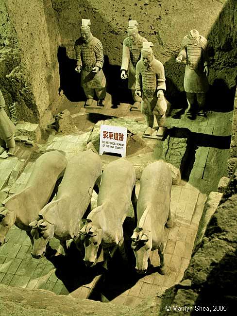 Terracotta Warriors 秦俑