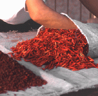 Hot Red Peppers