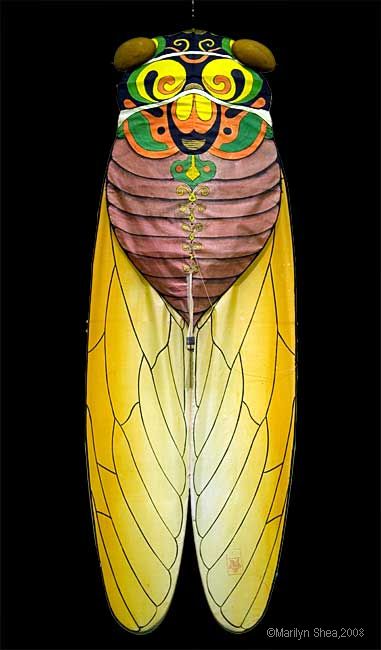 Cicada Kite