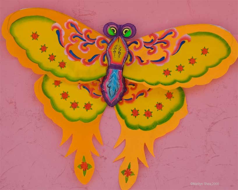 Butterfly Kite