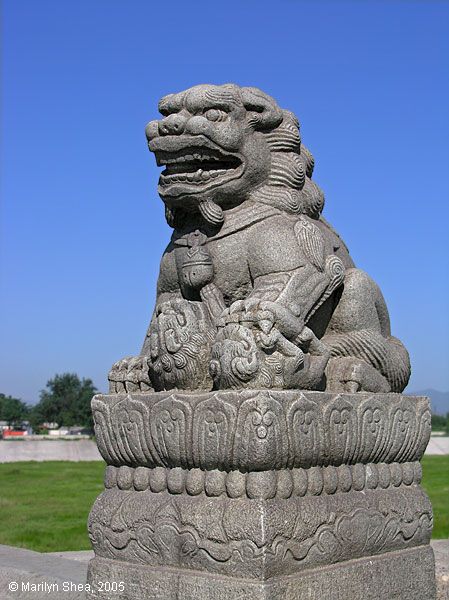 Marco Polo Bridge Lion 卢沟桥的狮子