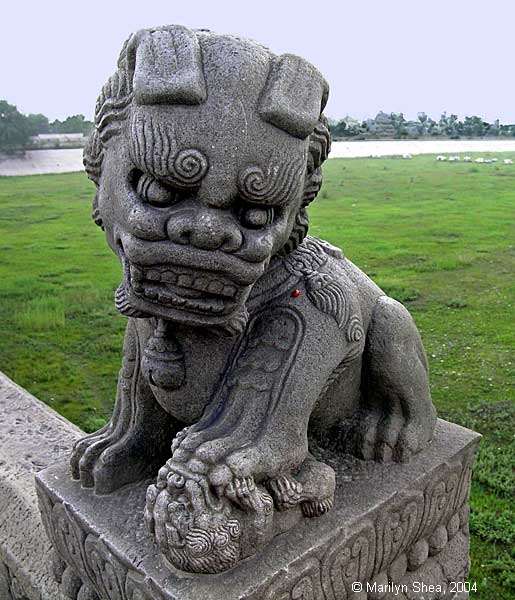 Marco Polo Bridge Lion 卢沟桥的狮子