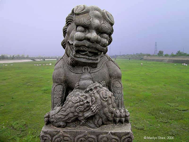 Marco Polo Bridge Lion 卢沟桥的狮子