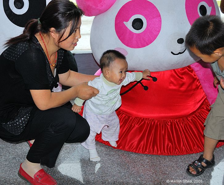 Synthethica plasticalosa, 合成纤维塑料