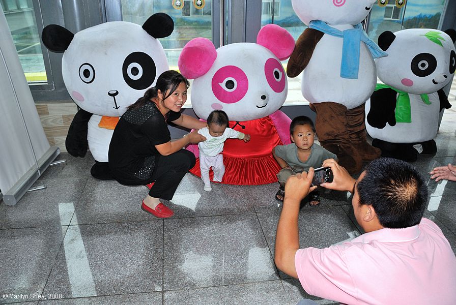 Synthethica plasticalosa, 合成纤维塑料