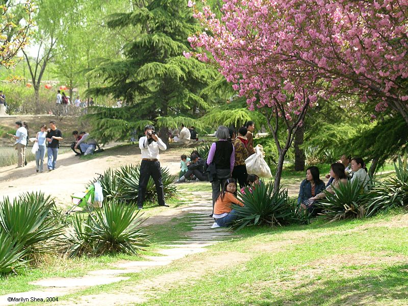 people in front of the lake