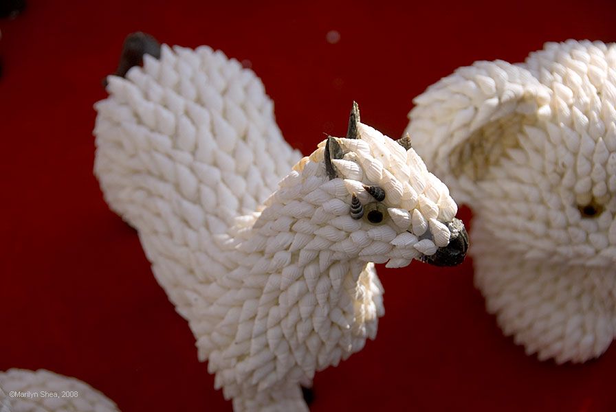 Sheep made of tiny shells