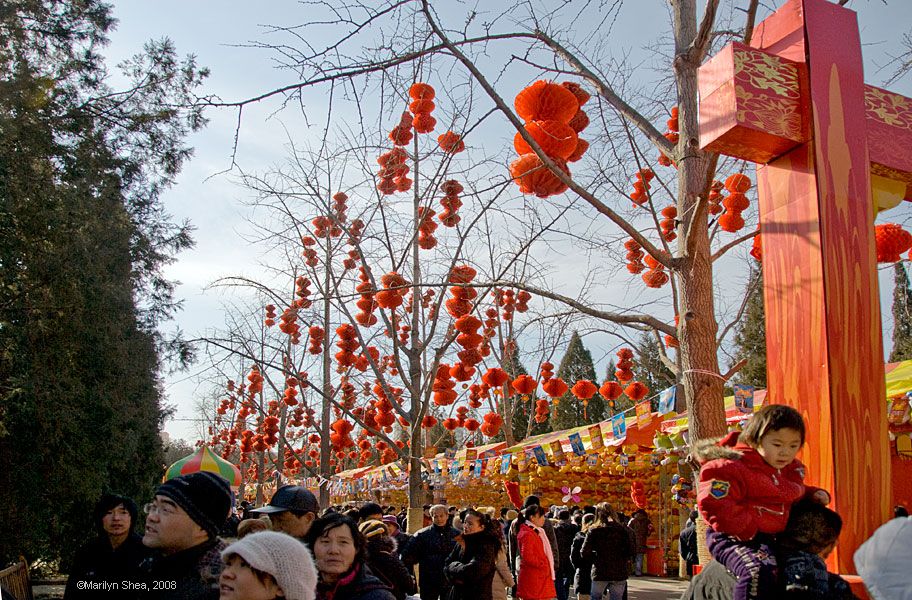 Decorations in the trees - hundreds of red lanterns