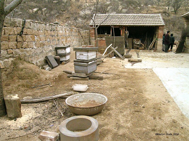 Farm yard with brick shed in the background